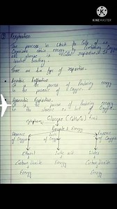 class 10th science chapter 6 hand written notes # short # study # education