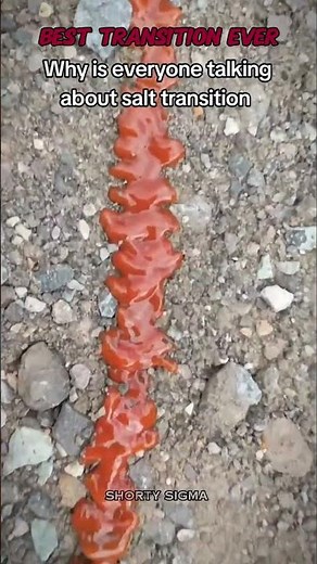 Best transition ever...