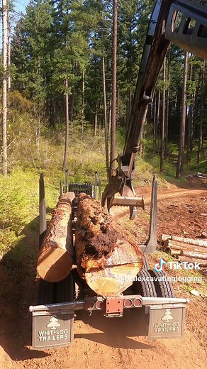 Loading a log truck under 5 min #heavyequipment #logtruck #pnw #loggerlife #loggertok #waynestonelogging #loaderman #cat #shoveloperator #fyp #logtruckersoftiktok #logger #bigwood #stilllearning