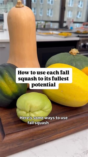 Delish on Instagram: "Squash squad, assemble! From soups to centerpieces, squash is here for all of your cozy fall recipe needs What is your favorite way to use squash? Let us know in the comments"