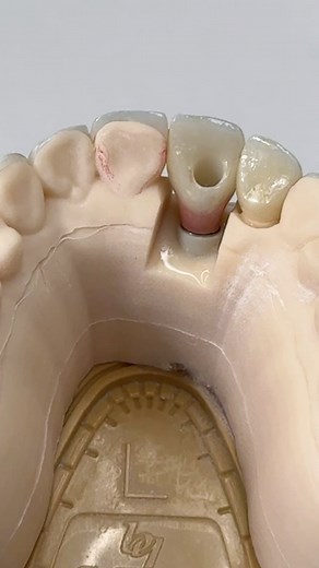 Tough case! Dr,Alexander Cox in New York | CEO Luke Kahng