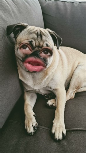 #comedy sms🤣🤣🤣🤣😂