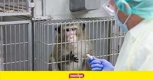 Les 7 expériences scientifiques les plus controversées