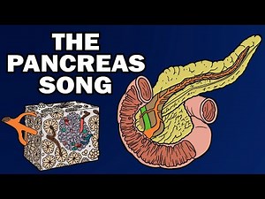 THE PANCREAS SONG