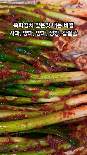 #쪽파김치#깊은맛내는비결 고추,사과,양파,생강,찹쌀풀 #아낌없이#넣고갈아넣어요