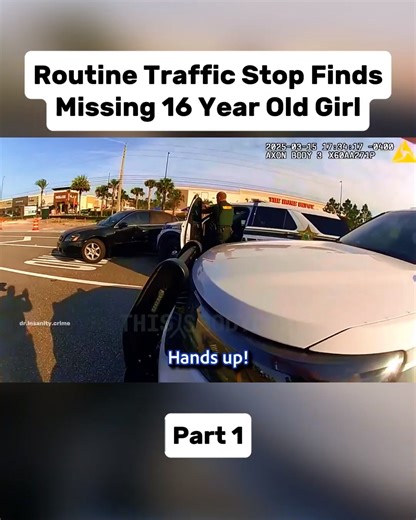 110K views · 3.1K reactions | “Cops Pull Over Car for Routine Traffic Stop—What They Find in the Backseat Leaves Them Stunned!” Watch full video in the first comment! | Police Blog | Facebook