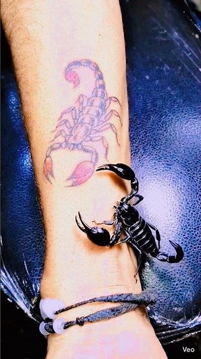 Scorpion tattoo lovers #tattoo #tattoos #howtotattoo