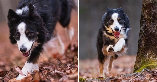 For Pros, The Sony a9 III's Speed Will Be Worth the Image Quality Tradeoff