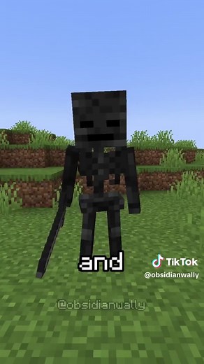 Best Wither Skeleton Farm in Minecraft