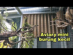 Making a Mini Aviary for Small Birds