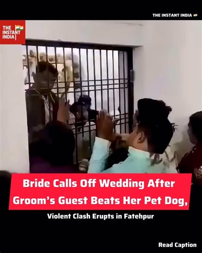 In a shocking incident from Fatehpur, Uttar Pradesh, a bride called off her wedding after a member of the groom’s family allegedly beat her pet dog during the ceremony. The dog reportedly began barking during wedding rituals, which angered some guests from the groom’s side. The situation escalated when one of them allegedly kicked the dog, triggering outrage from the bride’s family. What started as an argument quickly turned into a violent clash, with chairs and sticks reportedly used in the scu