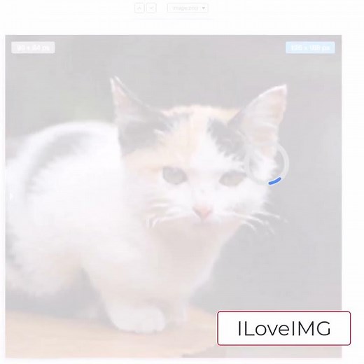 Upscaling Images using ILoveIMG