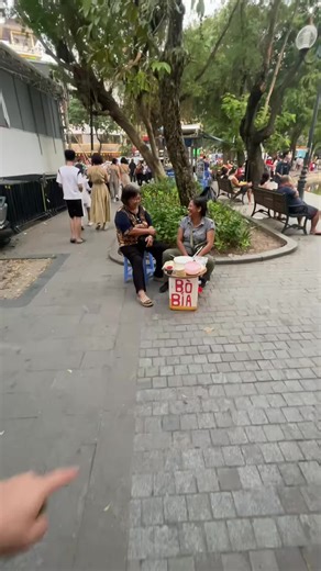 Vietnam Street Food: Dry Waffle Review