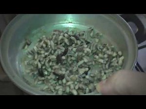 Mango Worm Extraction from a Stray Dog's Entire Body