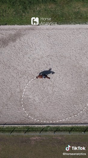 Happie Horse App on TikTok