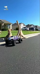 RC Car Vertical Flip