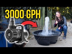 Cheap Pond Pump Review 3000gph | OYO Water