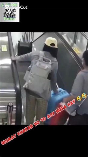 #funnyvideo #animals #viralvideo #viral #fypシ゚viral #ytshorts #viralshorts #ytshortsvideo #animalfun