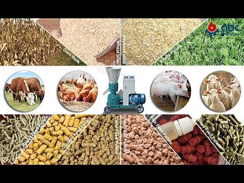 How to make feed pellets (animal feed pellet making machine)
