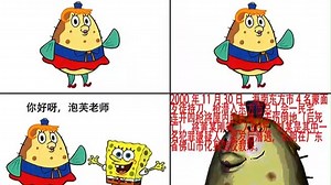 海绵斑伯3
