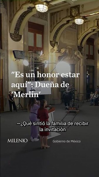 This is how the Merlin the duck family reacted to the presidential invitation