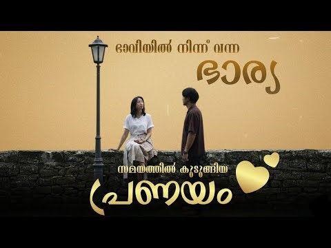 ഭൂമിയിൽ ടൈം ലൂപ്പ് പ്രാവർത്തീകമായപ്പോൾ 💖 | Sore: A Wife from the Future