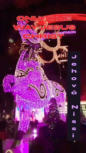 Only One Way Jesus Christ 🙏