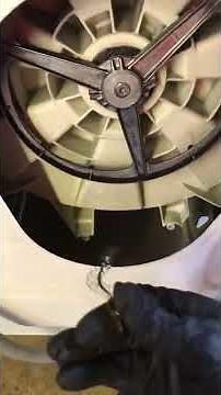 How to Replace Carbon Brushes on a Bosch Washing Machine Germany Dutch