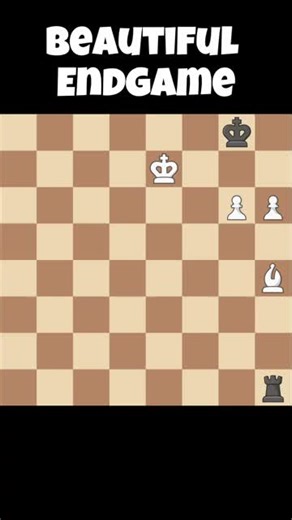 A_Beautiful_Endgame_Study_By_The_First_World_Chess_Champion♟️_#usa🇺🇸#chessgame#chessmind#fyp#nyc