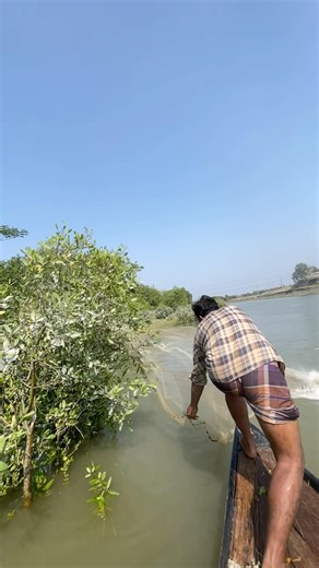 River sad big fish catching #reels