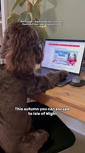 Be like @ruby_the_chocolate_cockapoo and book that dog-friendly Autumn getaway to the Isle of Wight 🍂🐾🐶⁣ ⁣ Book and travel between now and 31st October and take 25% off vehicle ferry travel to the Island.🚢⁣ ⁣ #IsleofWight #IOW #Southampton #RedFunnel #FerryTravel #Autumn #AutumnOffer | Red Funnel Isle of Wight Ferry