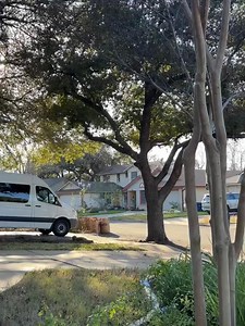 2.3K views · 17 reactions | Just some dogs doing some hood dog shiiii  #dogs #dogsoftiktok #pitbulls #austin | Michellebellexo TV | Facebook