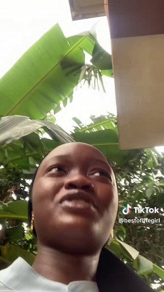 School Bus Incident: A Close Call with Danger