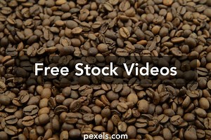 Coffee Harvesting Videos, Download The BEST Free 4k Stock Video Footage & Coffee Harvesting HD Video Clips