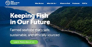 BAP LAUNCHES REDESIGNED WEBSITE