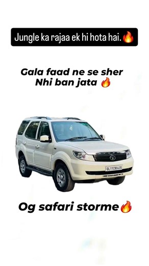 og safari storme