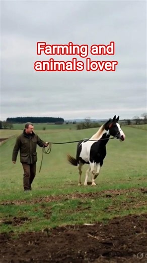 Farming, animal lover|Cancer Boy Reincarnated Farmer With God's Spear And Got A Harem | Anime Recap