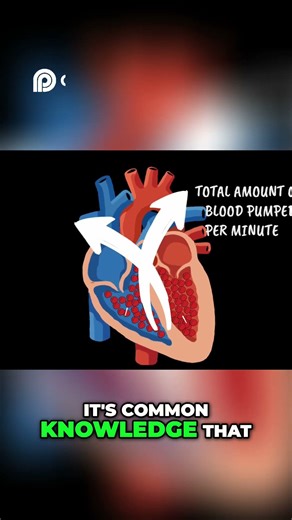Systemic Vascular Resistance | Vasoconstriction Vs Vasodilation