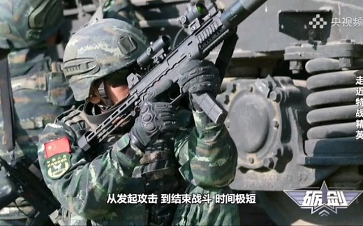 武警猎鹰突击队（ls7新冲锋枪）