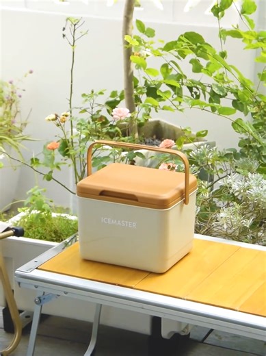 Icemaster户外小型迷你保温保冷箱，便携式上班手提保鲜小冰箱#coolerbox #icebox #box