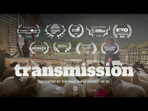 Transmission | Full Documentary