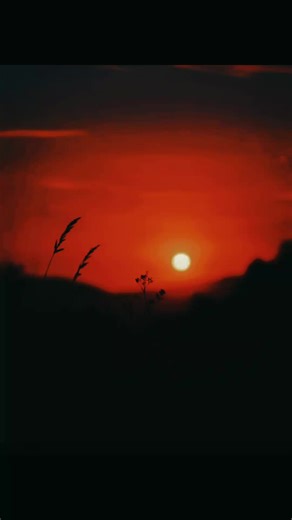 the sunset beautiful isn't it