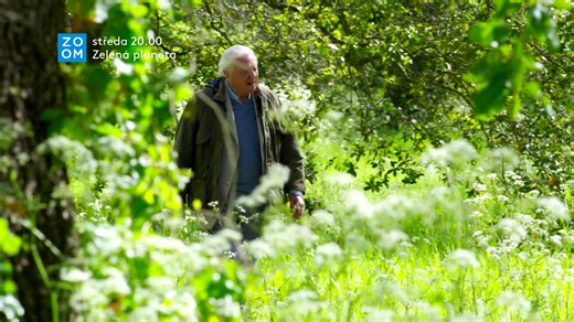 3.3K views | Navštivte spolu s průvodcem Davidem Attenboroughem svět, kde jeden život může trvat tisíc let. Uvidíte věci, které žádné lidské oko nikdy nevidělo, a objevíte krásný, ale divoký život rostlin na Zemi. ➡️ Britský dokument Zelená planeta sledujte dnes ve 20.00 na Prima ZOOM. | Prima ZOOM | Facebook