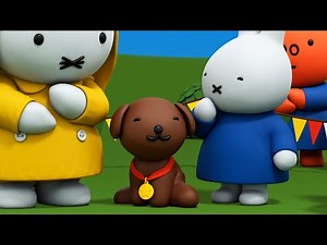 Miffy and the Pet Show | Miffy | Sweet Little Bunny | Miffy New