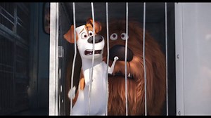7.9K reactions · 1K shares | Ever wondered what your pets do when you're not home? Find out in the brand new trailer for THE SECRET LIFE OF PETS, in cinemas September 15th. | Paramount Pictures | Facebook