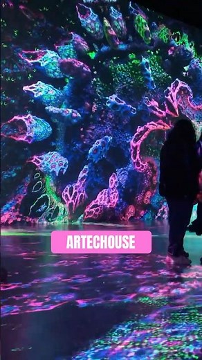 Mesmerizing ARTECHOUSE NYC ✨ My Favorite Immersive Art Moments