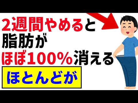 実は、2週間やめると脂肪がほぼ100％消える雑学