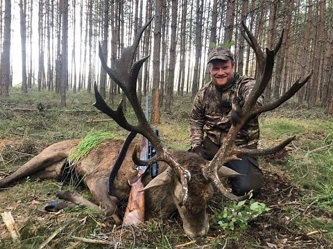 Hjortejagt Polen 2019 med Globus Jagtrejser