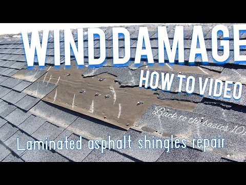 Laminated shingle repair