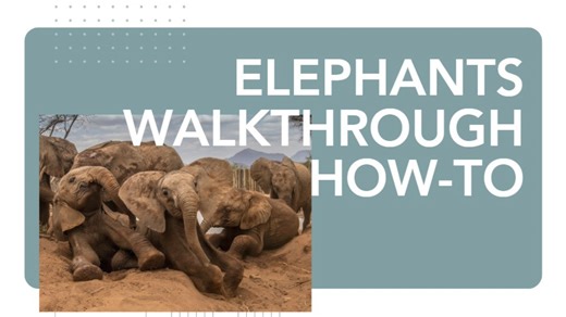 ELephants 3D walkthrough how-to 1